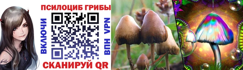 Галлюциногенные грибы Psilocybine cubensis  Наволоки 